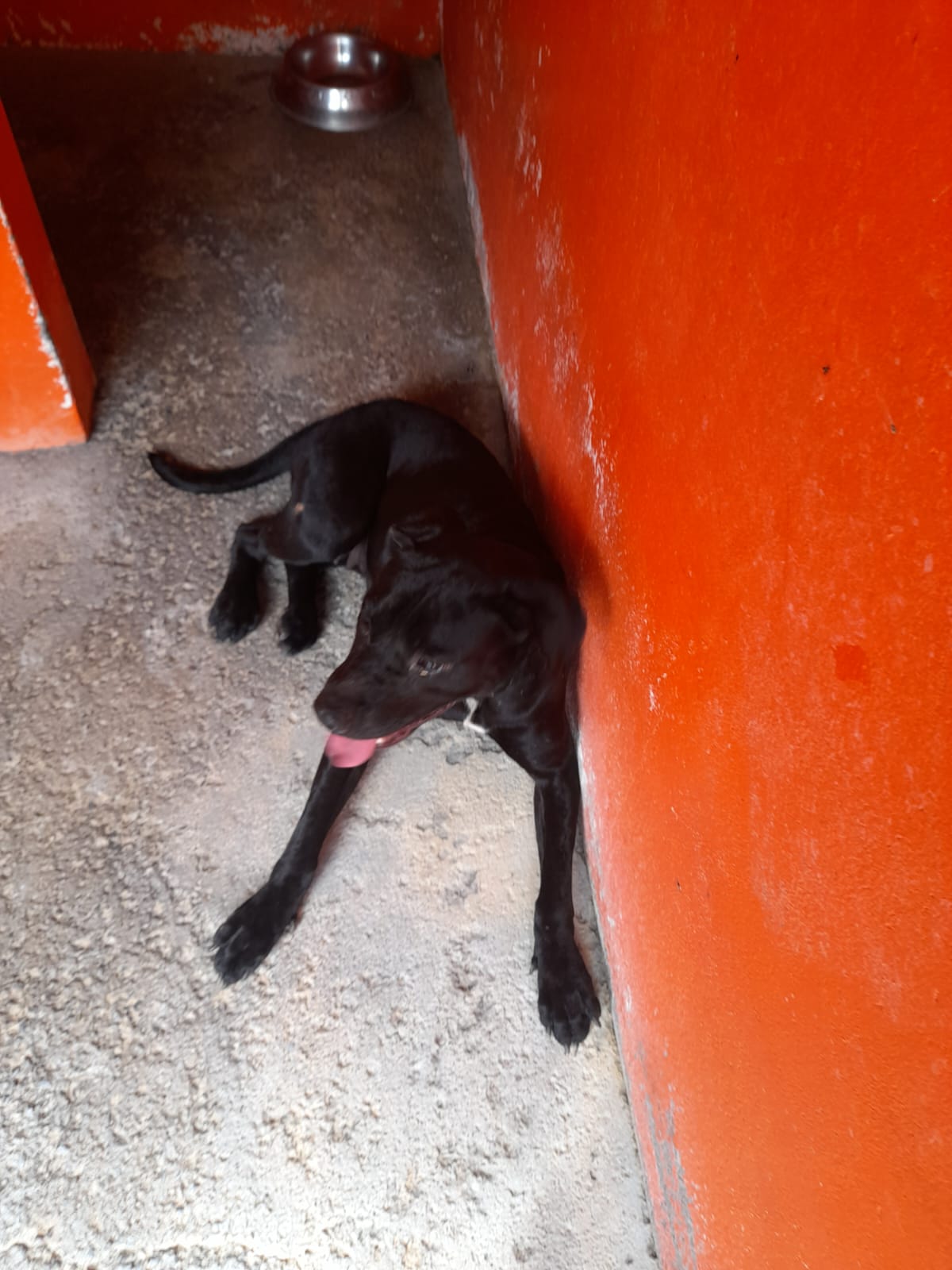 VICENTA